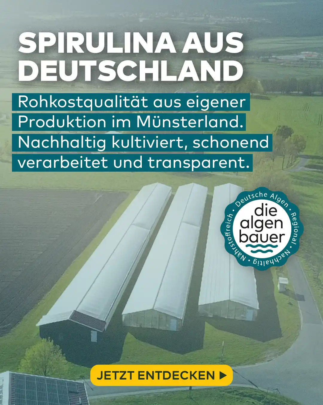 die algenbauer – Jetzt im Algenmarkt bestellen